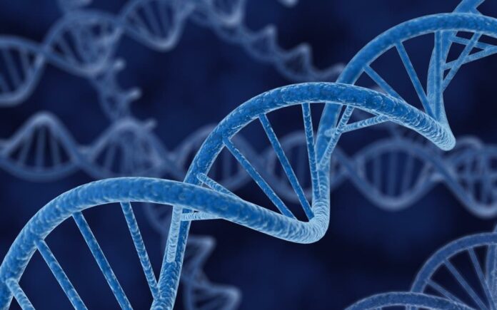 Δημιουργήθηκε ζωντανός οργανισμός με τεχνητά «γράμματα» στο DNA του